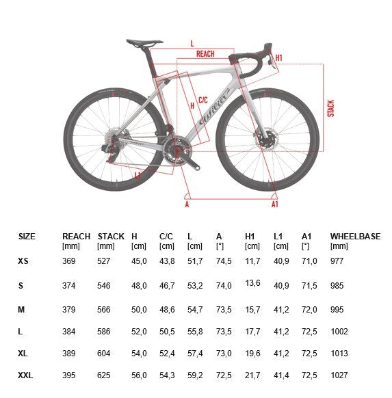 Product showcase image from staged upload